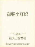 《御赐小狂妃》小说封面