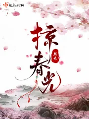 《掠春光》小说封面