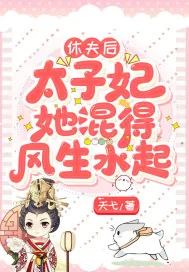《休夫后，太子妃她混得风生水起》小说封面