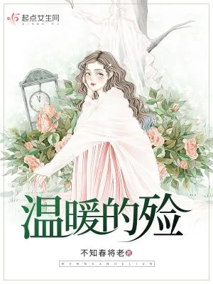 《温暖的殓》小说封面