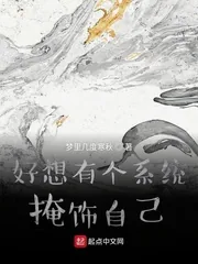《好想有个系统掩饰自己》小说封面
