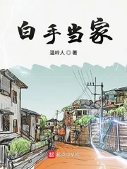《白手当家》小说封面