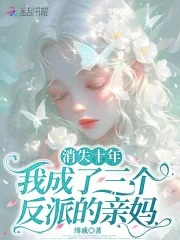 《消失十年，我成了三个反派的亲妈》小说封面