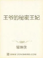 《王爷的秘密王妃》小说封面
