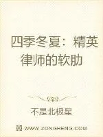 《四季冬夏:精英律师的软肋》小说封面