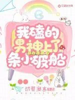 《我磕的男神上了条小破船》小说封面