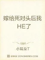 《嫁给死对头后我HE了》小说封面