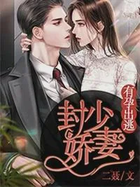 《唐柒柒封晏》小说封面