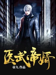 《徐南徐北》小说封面