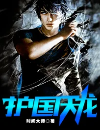 《护国天龙陈天龙》小说封面