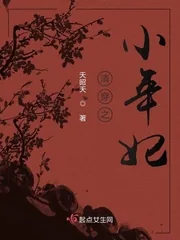 《清穿之小年妃》小说封面