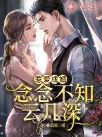 《惹爱成婚：念念不知云几深》小说封面