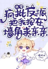 《快穿：疯批反派把我按在墙角求亲亲》小说封面