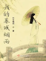 《我的暮城烟雨》小说封面