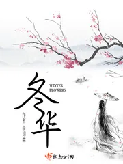 《冬华》小说封面