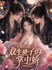 《守寡后,成了双生世子的掌中娇》小说封面