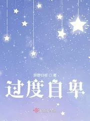 《过度自卑》小说封面