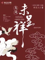 《龙凤未呈祥》小说封面