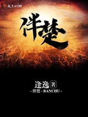 《伴楚》小说封面