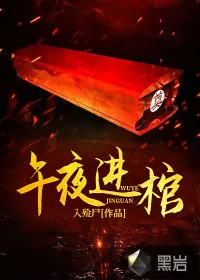 《午夜进棺》小说封面