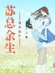 《苏总余生请多指教》小说封面