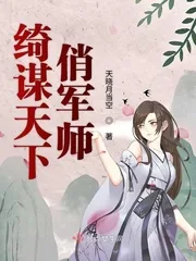 《绮谋天下俏军师》小说封面