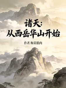 《诸天：从西岳华山开始》小说封面