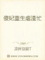 《傻妃重生虐渣忙》小说封面