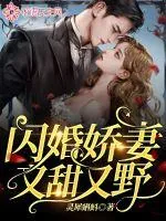 《闪婚娇妻又甜又野》小说封面