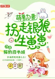 《萌兽为妻，拐走银狼生崽崽》小说封面
