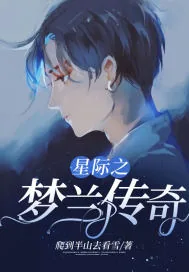 《星际之梦兰传奇》小说封面