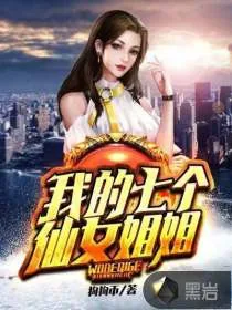 《我的七个仙女姐姐》小说封面