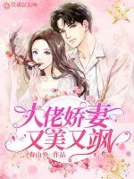 《大佬娇妻又美又飒》小说封面