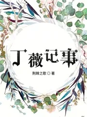 《丁薇记事》小说封面