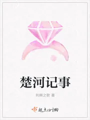 《楚河记事》小说封面