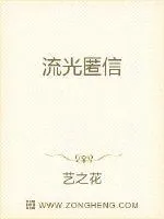 《流光匿信》小说封面