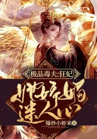 《极品毒夫：狂妃她娇媚迷人心》小说封面