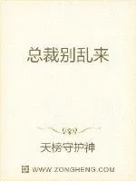 《天降萌宝：岑先生的掌心宠》小说封面