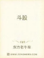 《斗股》小说封面