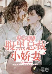《天降佳人：腹黑总裁小娇妻》小说封面