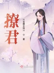 《撩君》小说封面