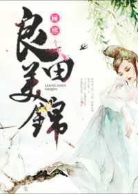 《良田美锦》小说封面