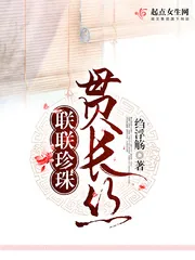 《联联珍珠贯长丝》小说封面