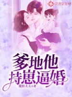 《爹地他持崽逼婚》小说封面