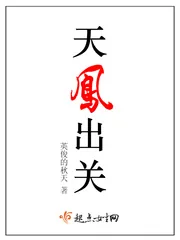 《天凤出关》小说封面