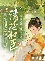 《小通房憨傻可人,清冷权臣难自持》小说封面
