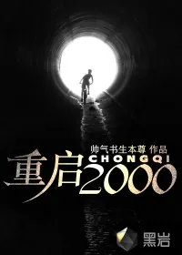 《重启2000》小说封面