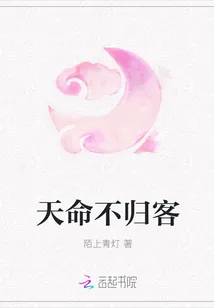 《天命不归客》小说封面