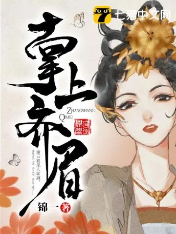 《掌上齐眉》小说封面