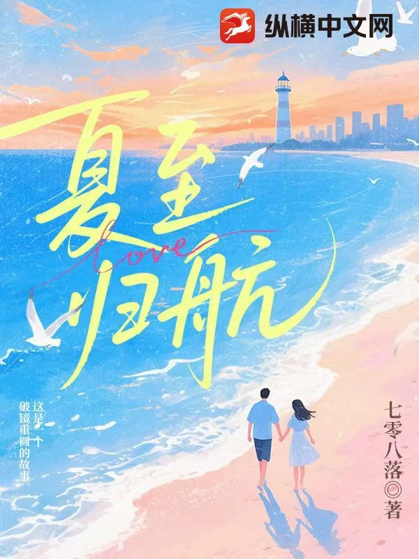 《夏至归航》小说封面